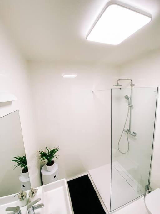 New Studio In Quiet Part Of The City Center Bratislava Bagian luar foto